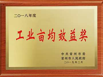 Changzhou City Industry  Efficiency Award
